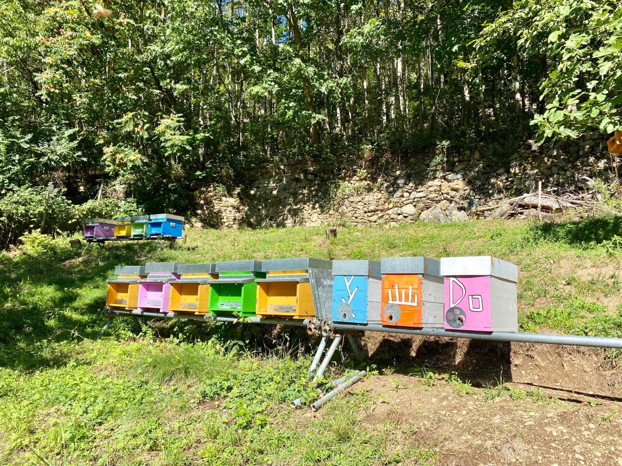 テーリオCasa Giulianaアパートメント エクステリア 写真